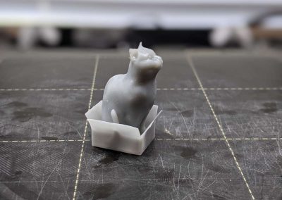 Small grey 3D print of a cat in a box